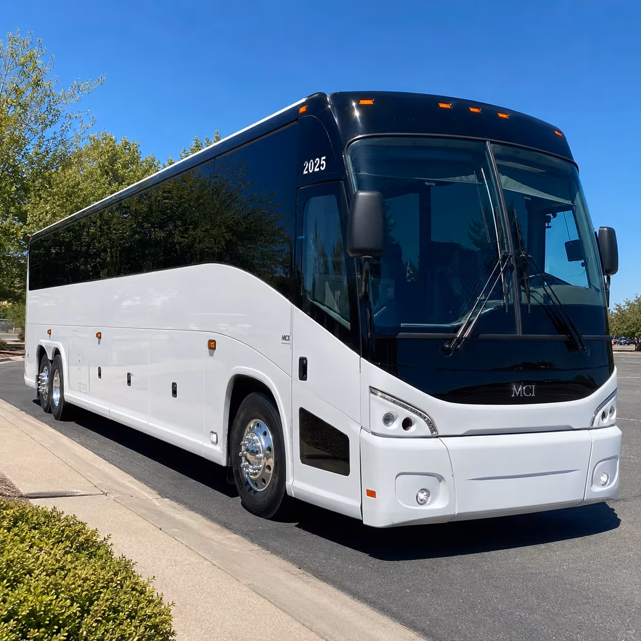 pilgrimage bus rentals to the basilica of our lady of san juan del valle